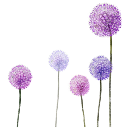 Wild Garlic | Yogi Living Retreat Center